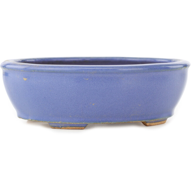 Pot à bonsaï ovale bleu par Hattori - 160 x 135 x 50 mm