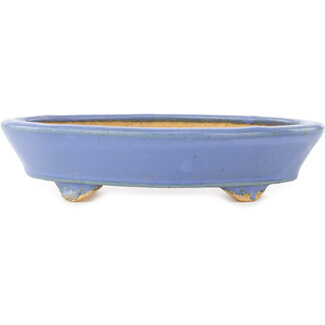  Hattori Tomoyuki 153 mm oval blue bonsai pot by Hattori, Tokoname, Japan
