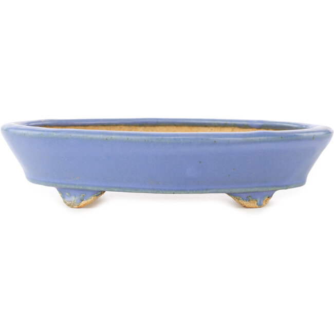 Oval blue bonsai pot by Hattori - 153 x 115 x 35 mm