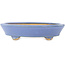 Ovaler blauer Bonsai-Topf von Hattori - 153 x 115 x 35 mm