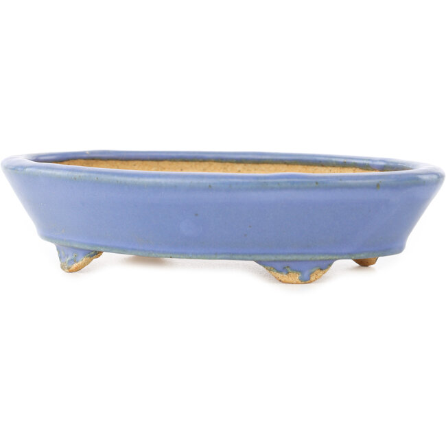 Oval blue bonsai pot by Hattori - 153 x 115 x 35 mm