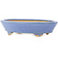 Oval blue bonsai pot by Hattori - 153 x 115 x 35 mm