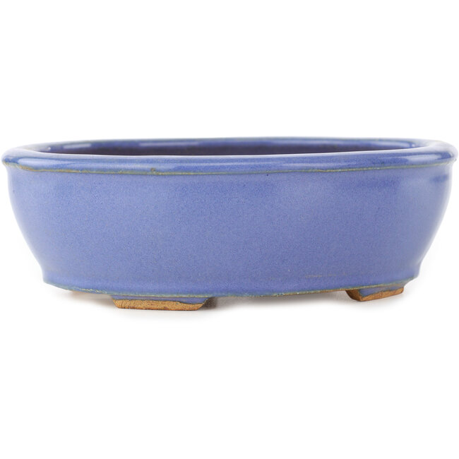 Vaso bonsai ovale blu di Hattori - 160 x 135 x 50 mm