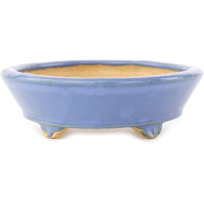 Ovale blauwe bonsai pot van Hattori - 153 x 115 x 35 mm