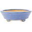 Vaso bonsai ovale blu di Hattori - 153 x 115 x 35 mm
