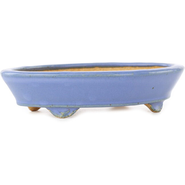 Maceta ovalada azul para bonsái de Hattori - 153 x 115 x 35 mm