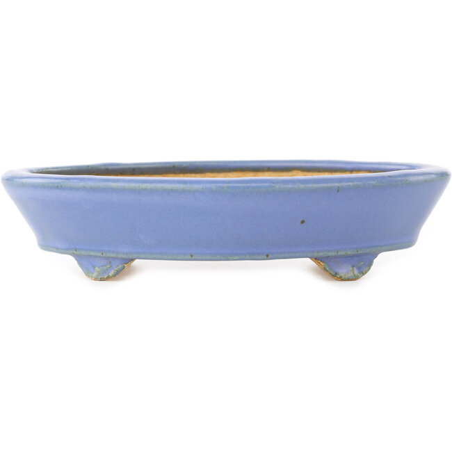 Oval blue bonsai pot by Hattori - 153 x 115 x 35 mm