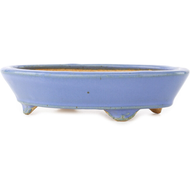 Oval blue bonsai pot by Hattori - 153 x 115 x 35 mm