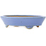 Pot à bonsaï ovale bleu par Hattori - 153 x 115 x 35 mm