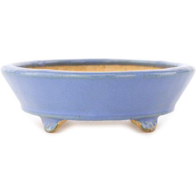 Vaso bonsai ovale blu di Hattori - 153 x 115 x 35 mm