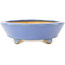 Ovaler blauer Bonsai-Topf von Hattori - 153 x 115 x 35 mm