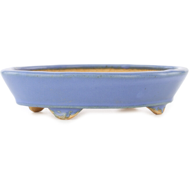 Maceta ovalada azul para bonsái de Hattori - 153 x 115 x 35 mm