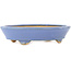 Ovaler blauer Bonsai-Topf von Hattori - 153 x 115 x 35 mm