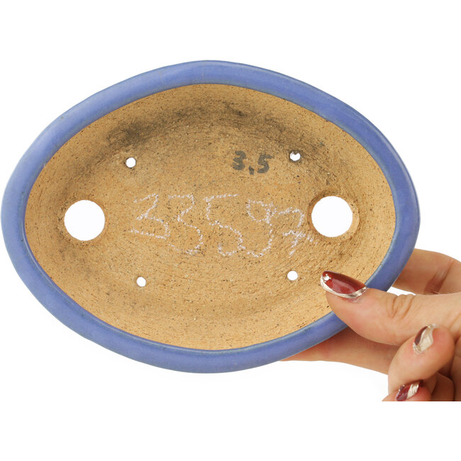 Pot à bonsaï ovale bleu par Hattori - 153 x 115 x 35 mm