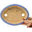 Oval blue bonsai pot by Hattori - 153 x 115 x 35 mm