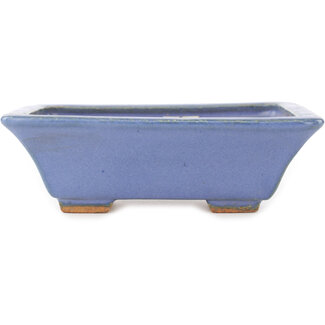  Hattori Tomoyuki 162 mm rectangular blue bonsai pot by Hattori, Tokoname, Japan