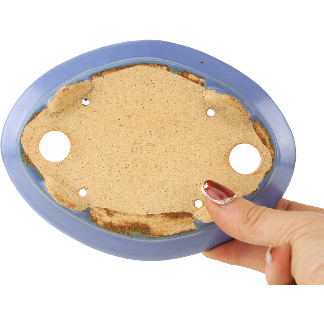 Maceta ovalada azul para bonsái de Hattori - 153 x 115 x 35 mm