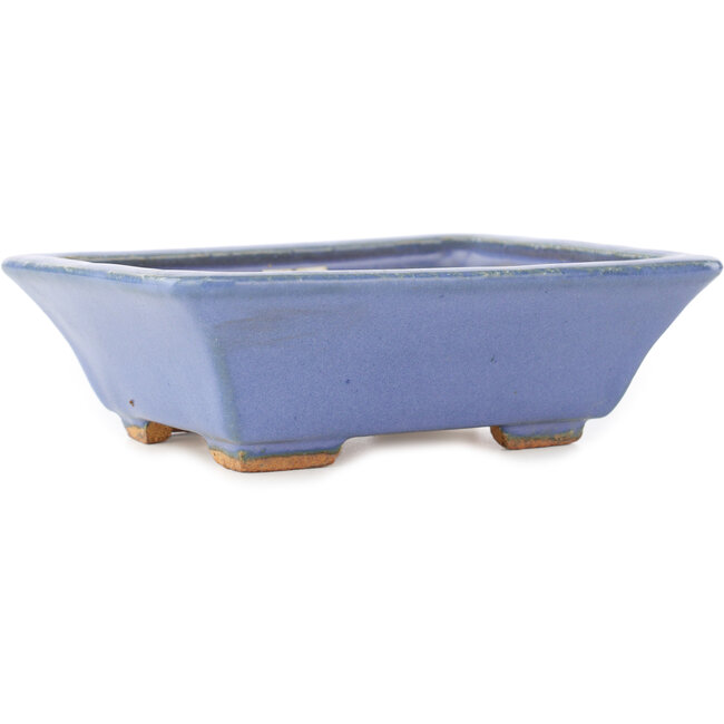 Pot à bonsaï rectangulaire bleu par Hattori - 162 x 137 x 50 mm
