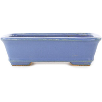 Hattori Tomoyuki Maceta rectangular azul para bonsái de 138 mm de Hattori, Tokoname, Japón