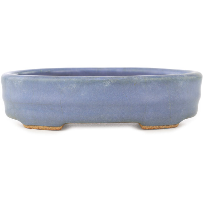 Pot à bonsaï ovale bleu par Hattori - 142 x 110 x 37 mm