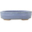 Ovaler blauer Bonsai-Topf von Hattori - 142 x 110 x 37 mm