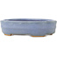 Pot à bonsaï ovale bleu par Hattori - 142 x 110 x 37 mm