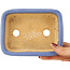 Maceta rectangular azul para bonsái de Hattori - 138 x 104 x 40 mm