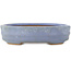 Oval blue bonsai pot by Hattori - 142 x 110 x 37 mm