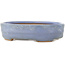 Ovaler blauer Bonsai-Topf von Hattori - 142 x 110 x 37 mm