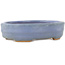 Oval blue bonsai pot by Hattori - 142 x 110 x 37 mm