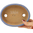 Pot à bonsaï ovale bleu par Hattori - 142 x 110 x 37 mm