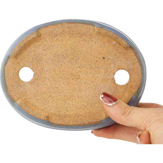 Maceta ovalada azul para bonsái de Hattori - 142 x 110 x 37 mm