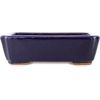  Hattori Tomoyuki Maceta rectangular de color azul oscuro para bonsái de 162 mm de Hattori, Tokoname, Japón