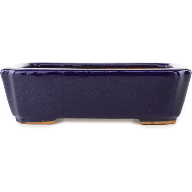 Pot à bonsaï rectangulaire bleu foncé de Hattori - 162 x 130 x 47 mm