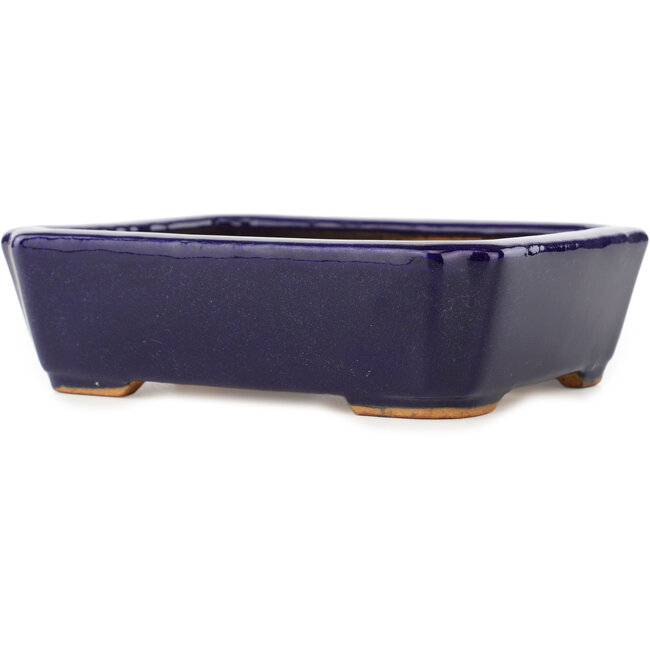 Pot à bonsaï rectangulaire bleu foncé de Hattori - 162 x 130 x 47 mm