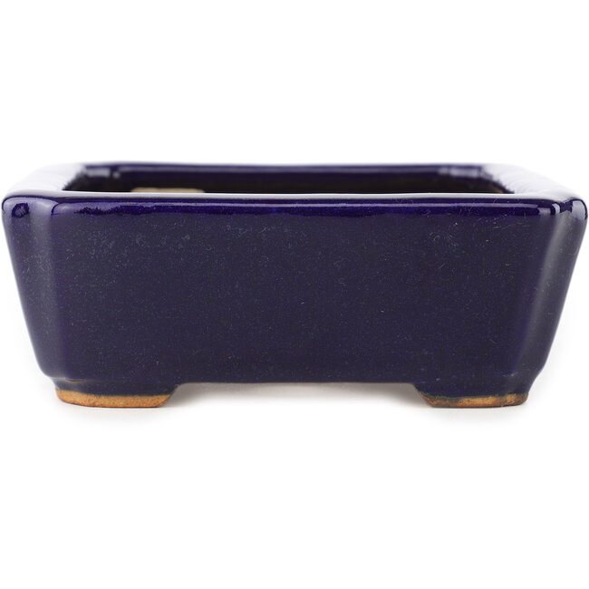Maceta rectangular para bonsái de color azul oscuro de Hattori - 162 x 130 x 47 mm
