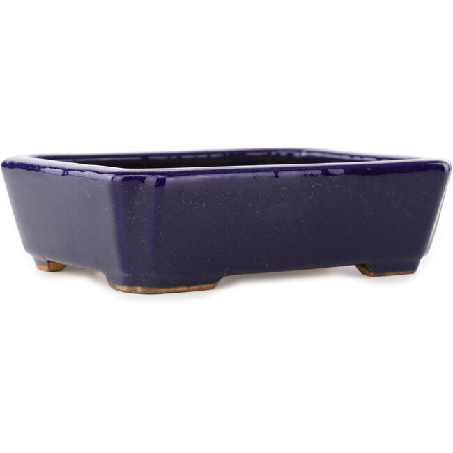 Pot à bonsaï rectangulaire bleu foncé de Hattori - 162 x 130 x 47 mm
