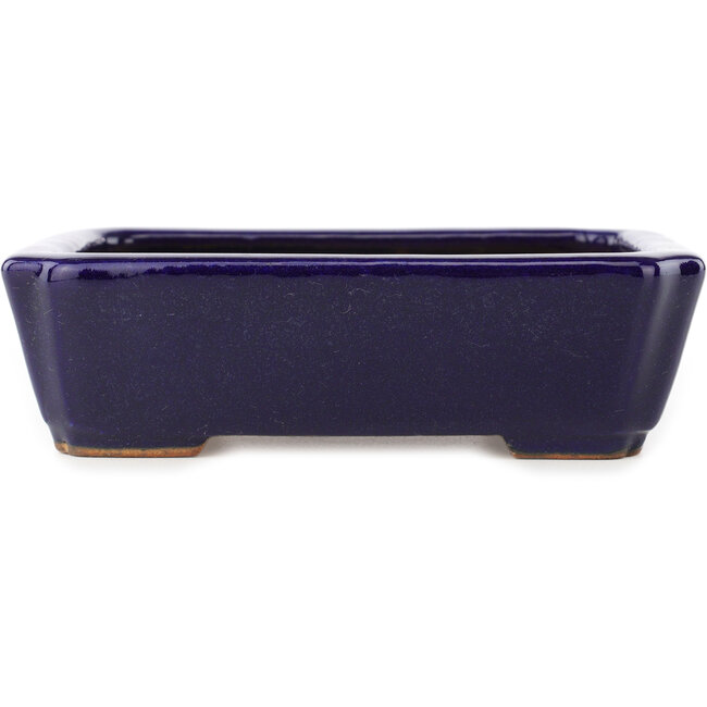Pot à bonsaï rectangulaire bleu foncé de Hattori - 162 x 130 x 47 mm
