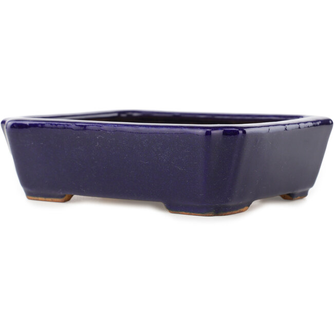 Vaso bonsai rettangolare blu scuro di Hattori - 162 x 130 x 47 mm