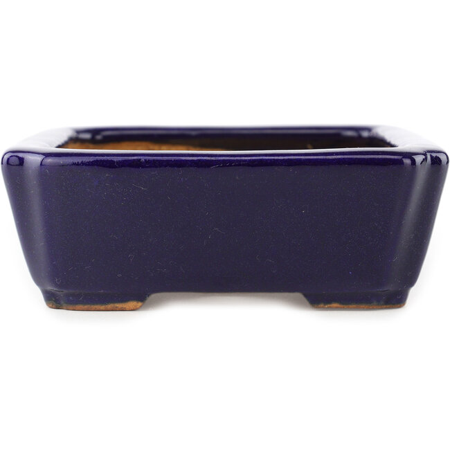 Pot à bonsaï rectangulaire bleu foncé de Hattori - 162 x 130 x 47 mm