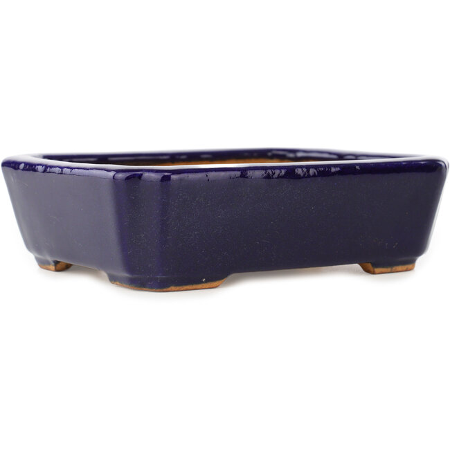 Pot à bonsaï rectangulaire bleu foncé de Hattori - 162 x 130 x 47 mm