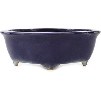  Hattori Tomoyuki Maceta para bonsái mokko azul oscuro de 162 mm de Hattori, Tokoname, Japón