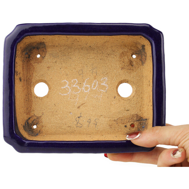 Rectangular dark blue bonsai pot by Hattori - 162 x 130 x 47 mm