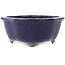 Pot à bonsaï Mokko bleu foncé par Hattori - 162 x 138 x 58 mm