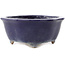 Pot à bonsaï Mokko bleu foncé par Hattori - 162 x 138 x 58 mm