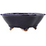 Pot à bonsaï Mokko bleu foncé par Hattori - 140 x 118 x 50 mm