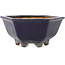 Pot à bonsaï hexagonal bleu foncé de Hattori - 155 x 155 x 68 mm