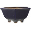 Zeshoekige donkerblauwe bonsaipot van Hattori - 155 x 155 x 68 mm