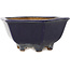 Zeshoekige donkerblauwe bonsaipot van Hattori - 155 x 155 x 68 mm
