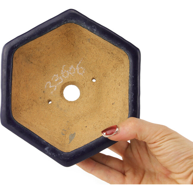 Maceta para bonsái hexagonal de color azul oscuro de Hattori - 155 x 155 x 68 mm